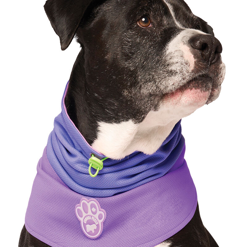 Canada Pooch, Max Chill Cooling Snood Purple image number null
